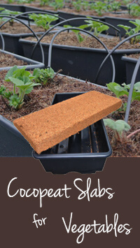 coir cocopeat slabs for vegetables