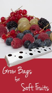 coir grow bags for soft fruits